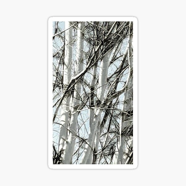 Sticker Bare winter tree 