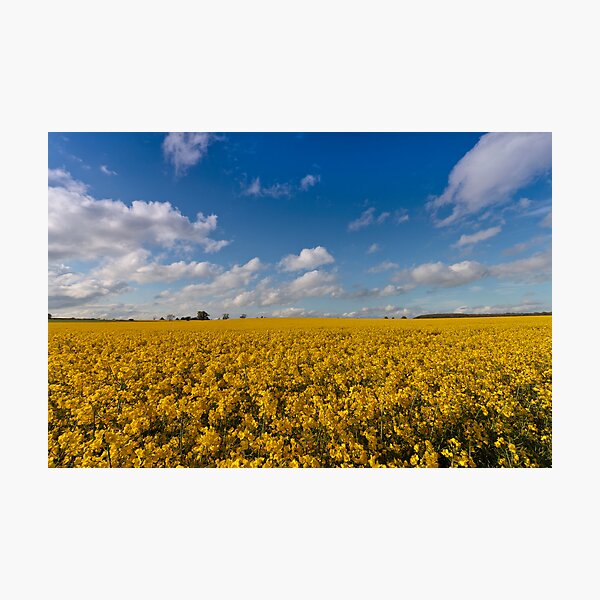 Drive Home Photographic Print