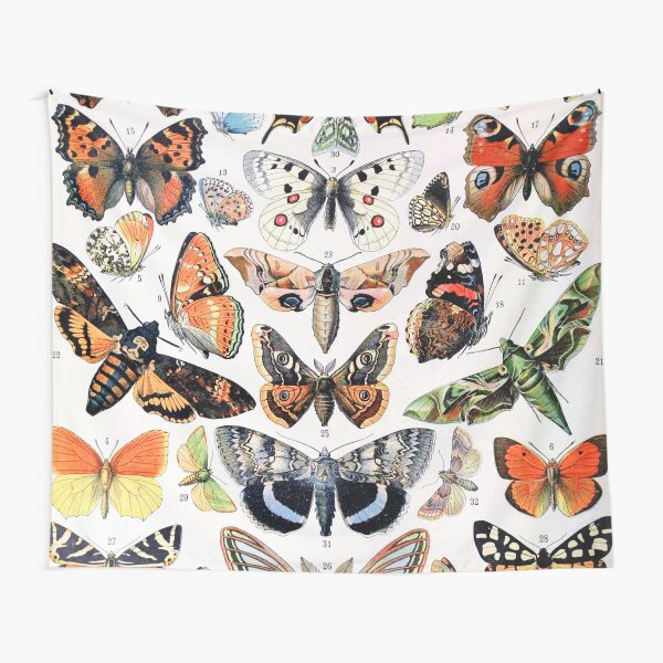 Adolphe Millot - Papillons A - French vintage poster Tapestry