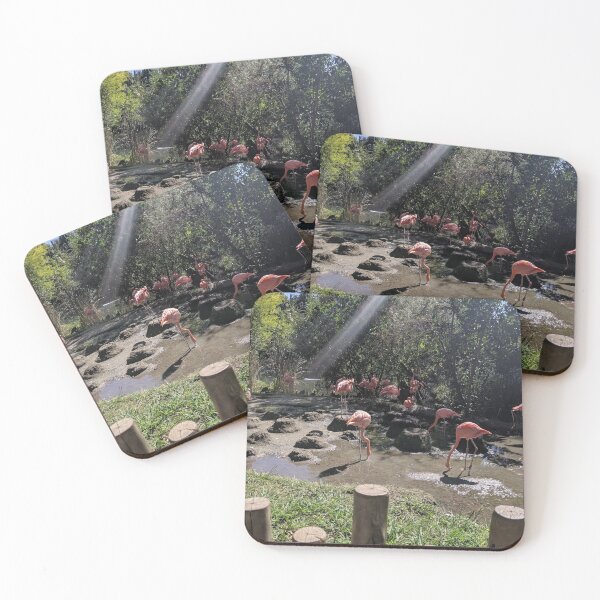 Item preview, Flamingos, Sac Zoo designed and sold by c0r1nuc0p14.
