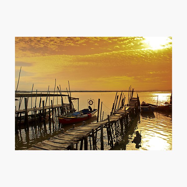 Carrasqueira II Photographic Print