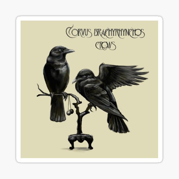 Corvids - Like a Bird in Flight Sticker
