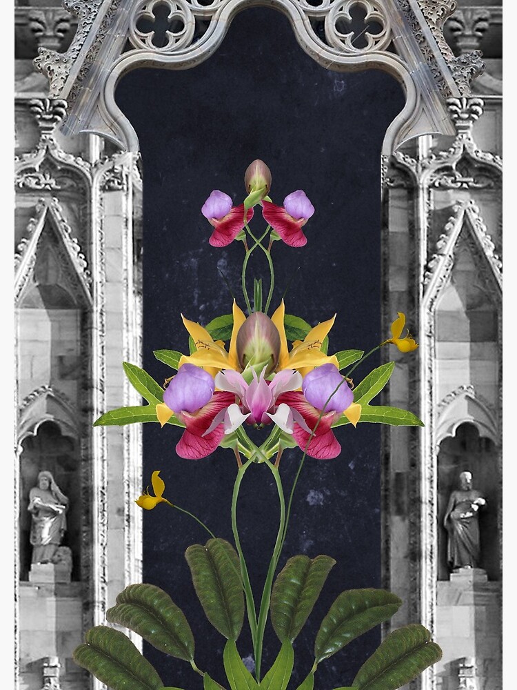 Faith - Religion, spirituality, flowers, architecture by ilariaantolini