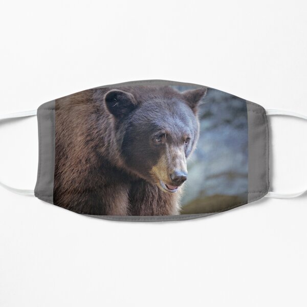 Furry Bear Face Masks Redbubble - grizzly bear ears roblox