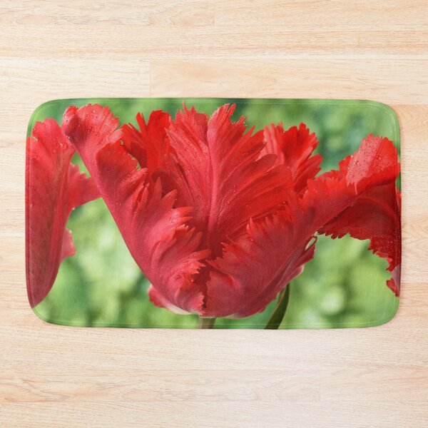 Item preview, Tulipa 'Garden Fire' Parrot Tulip designed and sold by Chris Burrows.