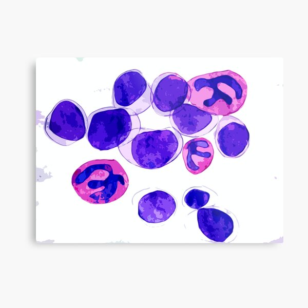 Blood cells Metal Print