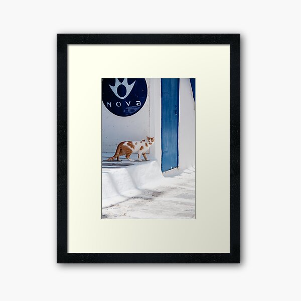 Item preview, Cat in Mykonos designed and sold by Laura Melis Photography.