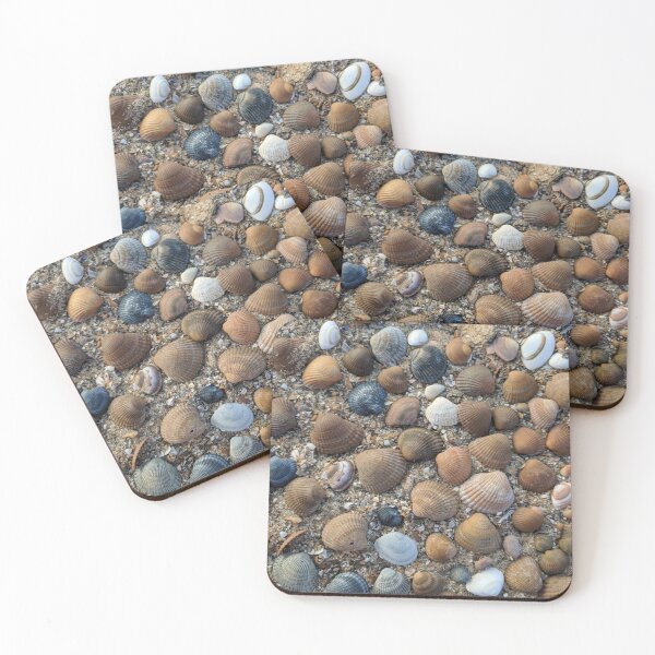 Item preview, Shells on the beach designed and sold by naerebout.
