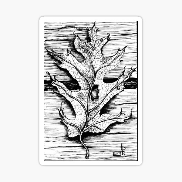 oak leaf Sticker