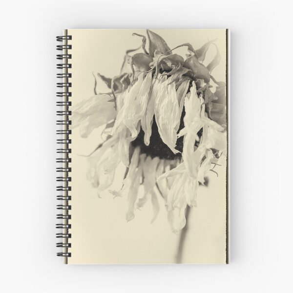 Item preview, Setting Sun sunflower picture antiqued designed and sold by MarniePatchett.