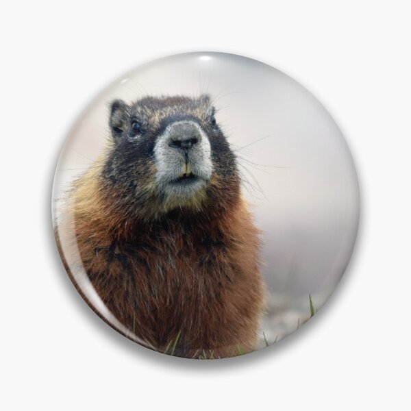 Item preview, marmot designed and sold by grizzbass.