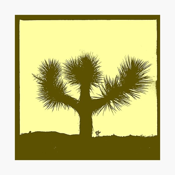 Joshua Tree (version 3) Photographic Print