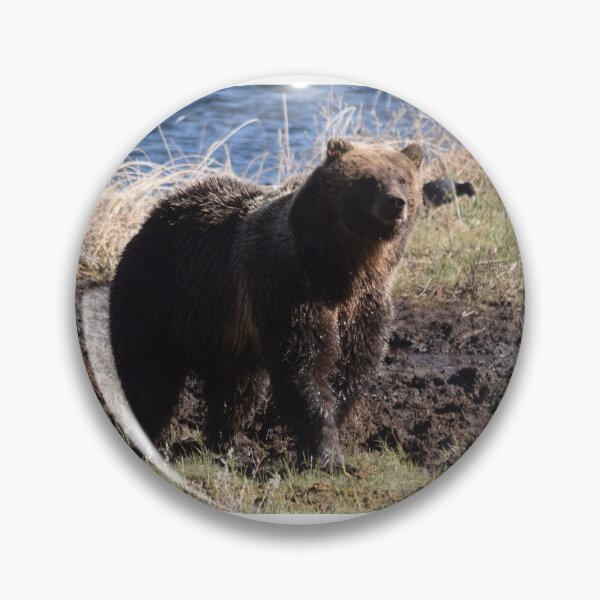 Item preview, photobombed grizzly designed and sold by grizzbass.