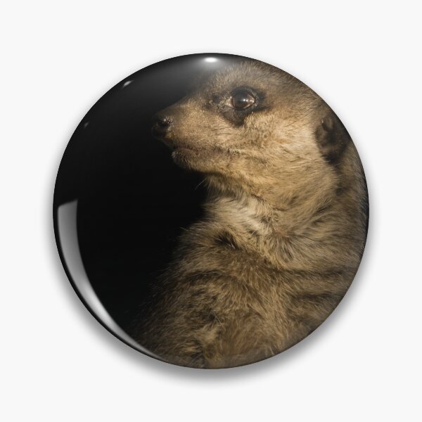 Item preview, Lookout designed and sold by RichardSayer.