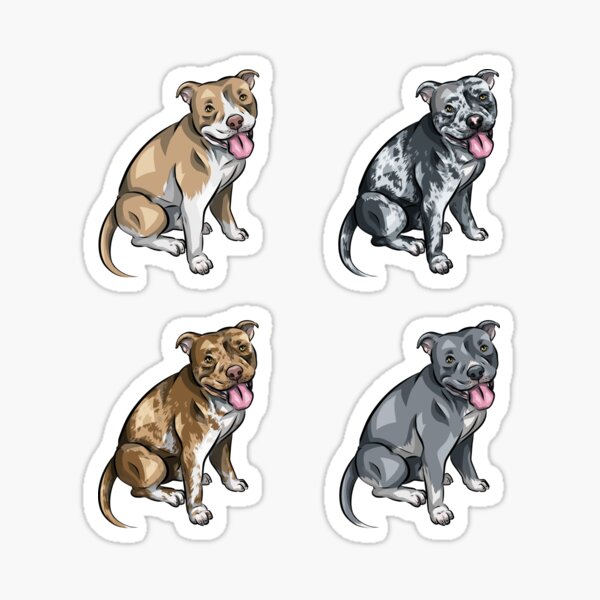 american merle bully