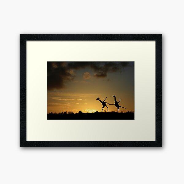 Happy Dancing Giraffes Framed Art Print