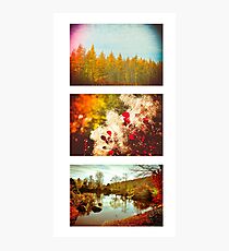 Color is Everywhere. Photographic Print