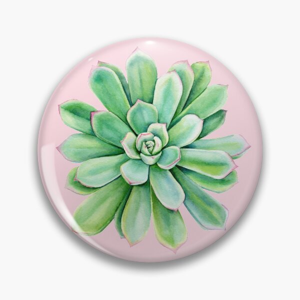 Item preview, Echeveria Agavoides Succulent Watercolor Art designed and sold by BotanicPrints.