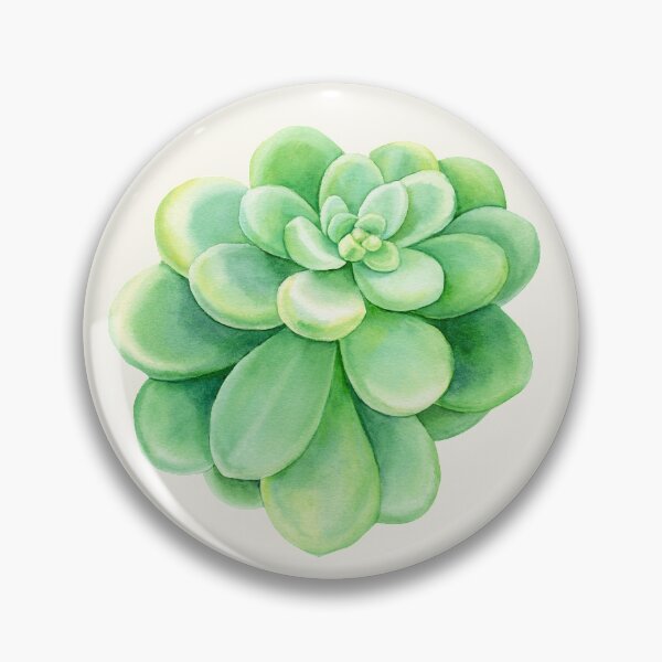 Item preview, Aeonium Lindleyi Succulent Watercolor Art designed and sold by BotanicPrints.