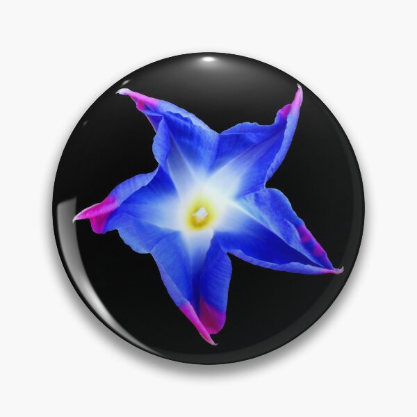 Item preview, blue wind flower, flowers, blossom blue pink floral designed and sold by rhnaturestyles.
