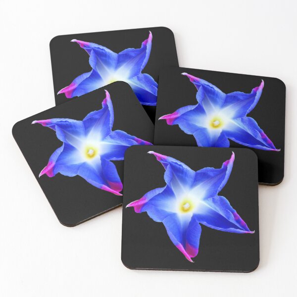 Item preview, blue wind flower, flowers, blossom blue pink floral designed and sold by rhnaturestyles.