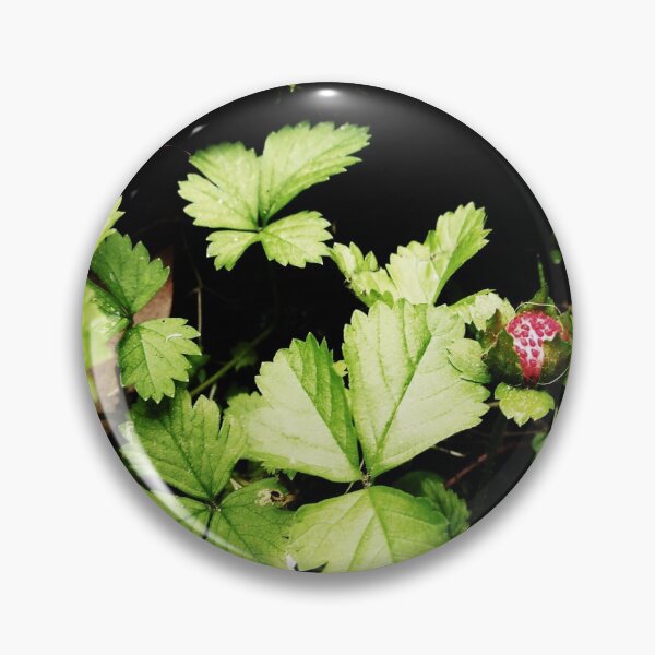 Item preview, Strawberry Fields Forever In Lock Down  04/18/20 14:00 designed and sold by Mark Polk.