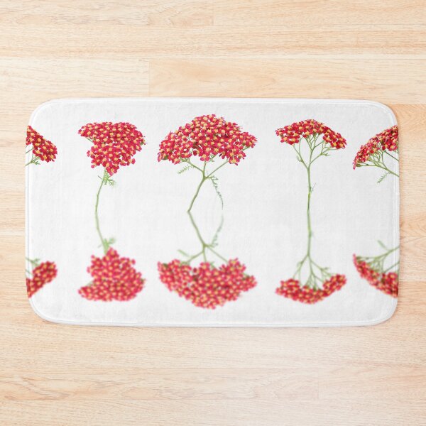 Item preview, Achillea  'Fanal'  Yarrow  Syn.  Achillea 'The Beacon'  designed and sold by Chris Burrows.