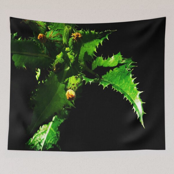 Item preview, A Full Dandelion Supension In Lock Down 04/15/20 v.3 designed and sold by Mark Polk.