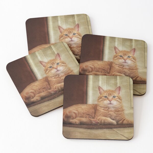 Item preview, Shaman, My  Cat designed and sold by Maria  Gonzalez.