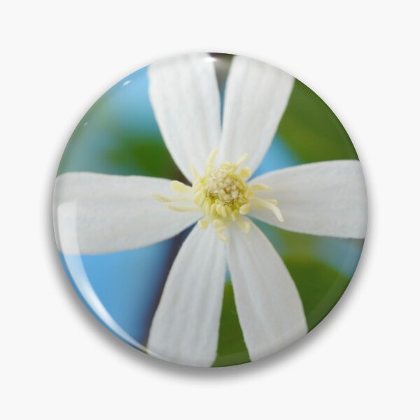 Item preview, Clematis terniflora var. mandshurica	Manchurian clematis designed and sold by Chris Burrows.