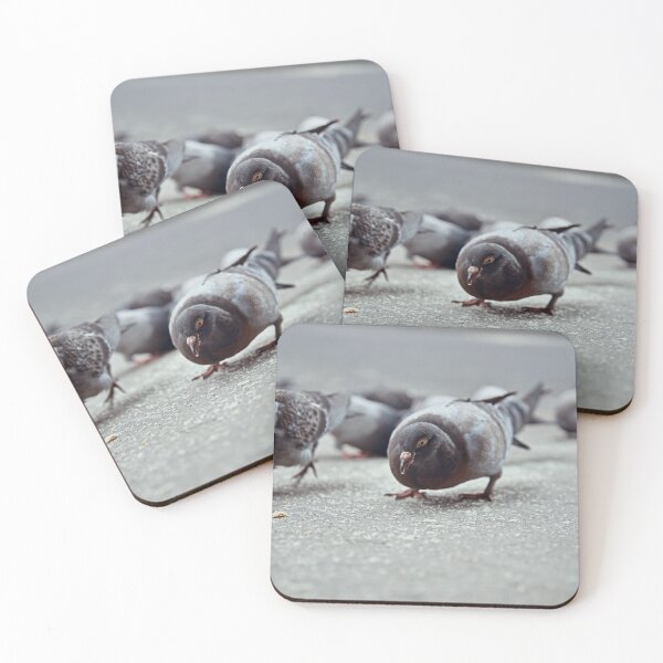 Item preview, Pigeon Eating designed and sold by Javier Narváez Solarte.