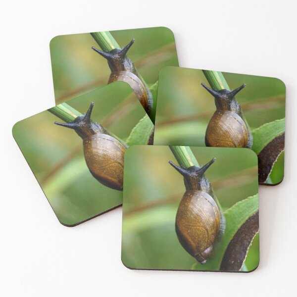 Item preview, Natural Bird designed and sold by Zubair Ali.
