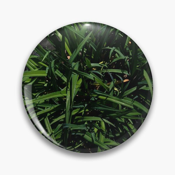 Item preview, A Plant designed and sold by c0r1nuc0p14.