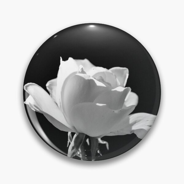 Item preview, Black and White Rose designed and sold by tchnclrdydrm.