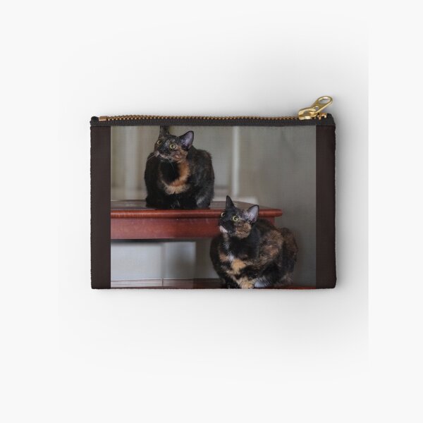 Item preview, Sister Torties on Stairs designed and sold by MomentofPercep.