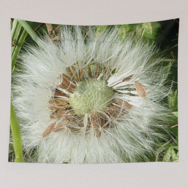 Item preview, The Dandelion Macro Up Close And Personal v.1 designed and sold by Mark Polk.