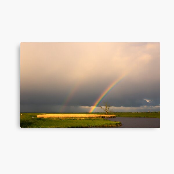 Item preview, The rainbows designed and sold by THHoang.