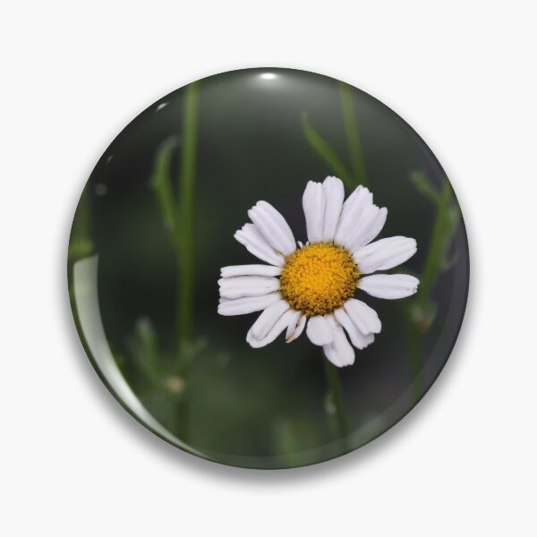 Item preview, Solo Daisy designed and sold by tchnclrdydrm.