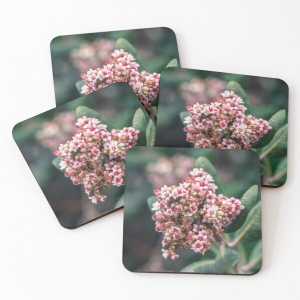 Item preview, Lemonade Berry Flowers designed and sold by Ian Christopher.
