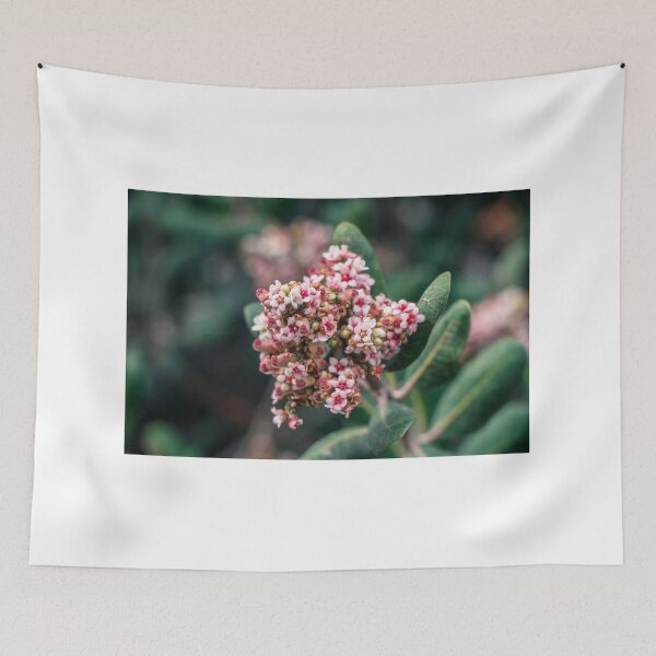 Item preview, Lemonade Berry Flowers designed and sold by Ian Christopher.