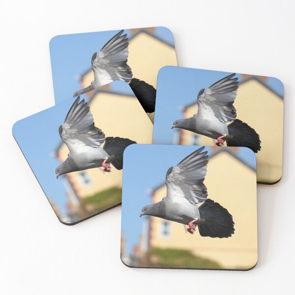 Item preview, Urban pigeon designed and sold by GreyFeatherPhot.