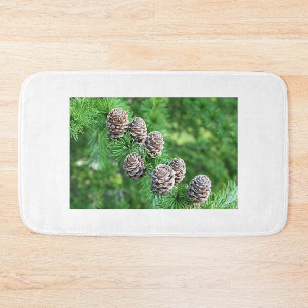 Item preview, Pinecones designed and sold by Schummi.