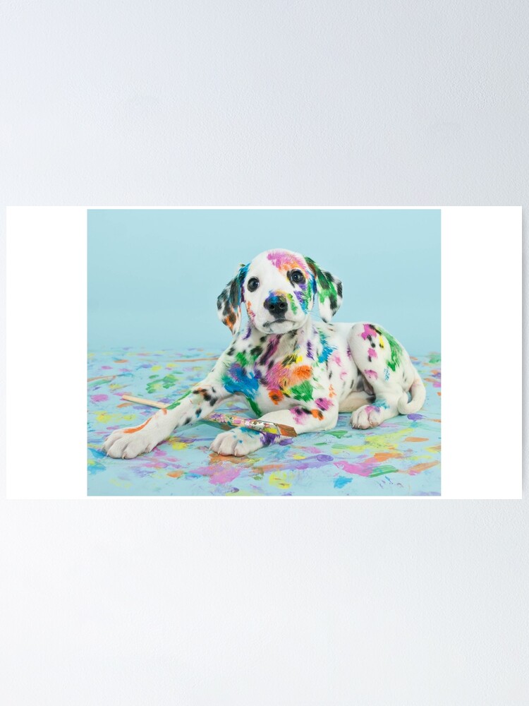 Poster Chiot Dalmatien Skoda Mignon Petit Bebe Blanc Imprimes Droles Par Yanulik Redbubble