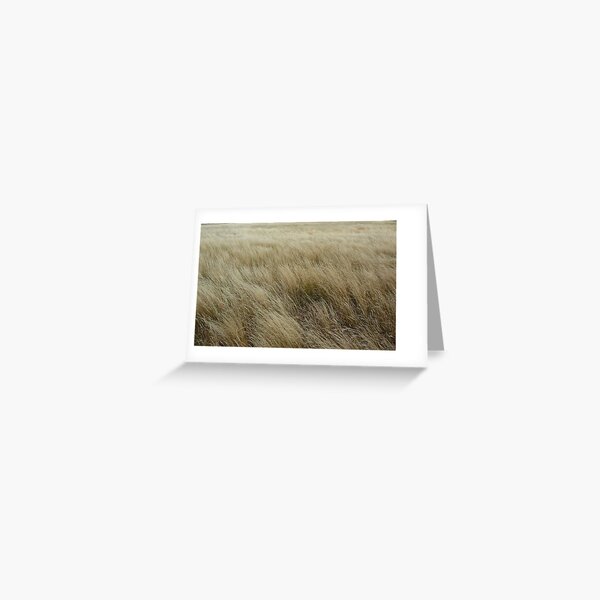 LOST Greeting Card