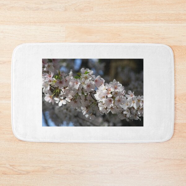 Item preview, Cherry Blossom Festival designed and sold by Schummi.