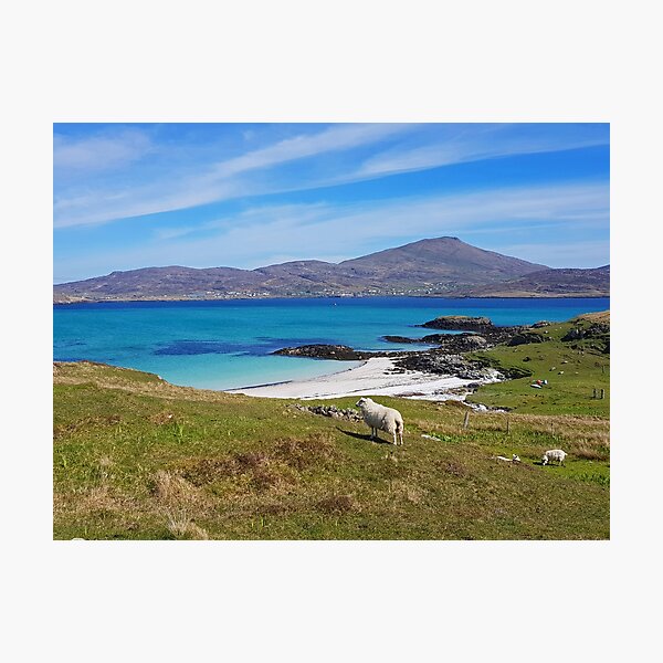 Across from Castlebay Photographic Print