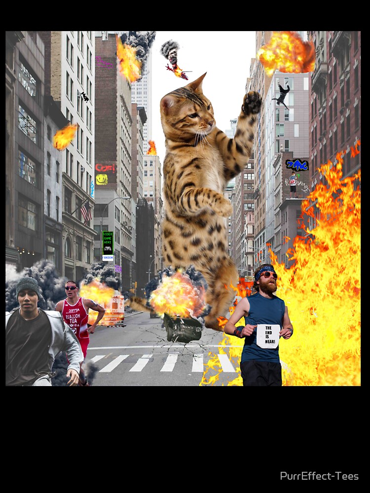kitten rampage free kitten rampage free