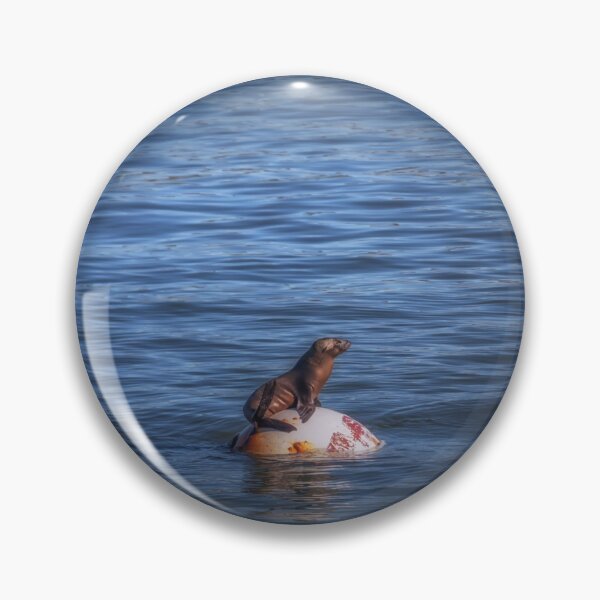 Item preview, Boppin Along a baby sea lion basks on a buoy Seal Pup designed and sold by MarniePatchett.
