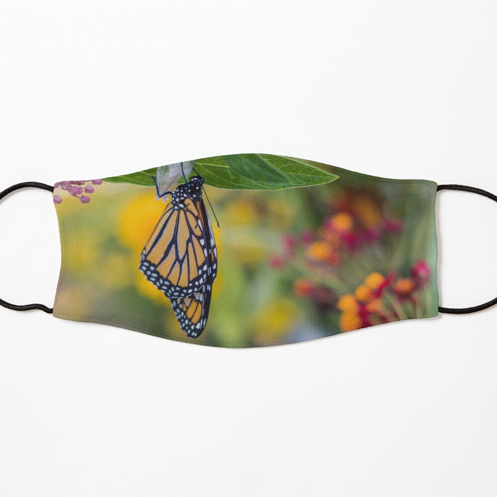 Pro Strap - Flutterby