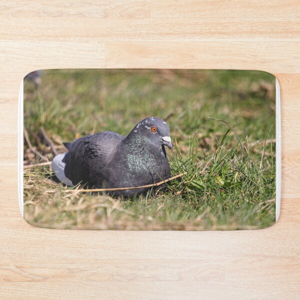 Item preview, Pigeon nesting on the ground designed and sold by GreyFeatherPhot.